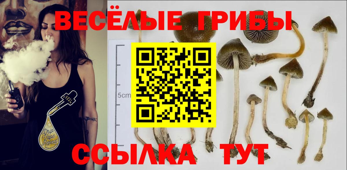 Лениногорск  Галлюциногенные грибы Psilocybe  купить  сайты  Вход с VPN 